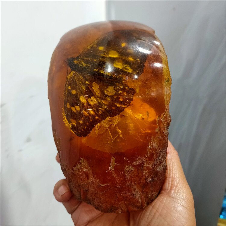 仿古工艺品树脂琥珀特大号昆虫蜻蜓知了蝎子螃蟹蝴蝶龙虾标本摆件