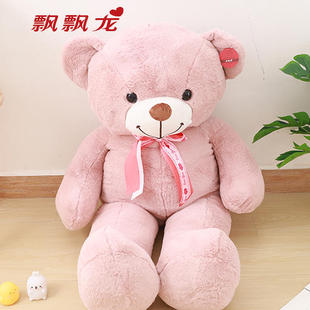 飘飘龙毛绒玩具 泰迪熊公仔大熊抱枕熊猫布娃娃大号抱抱熊玩偶
