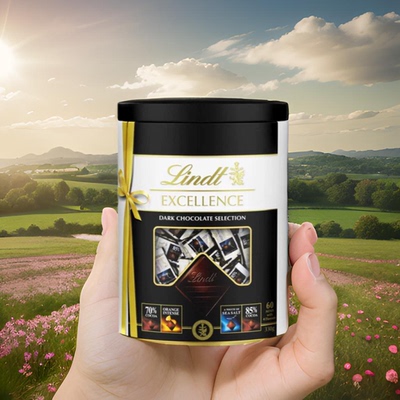 香港进口代购新年礼盒节日送礼瑞士莲精选特醇朱古力罐装440克