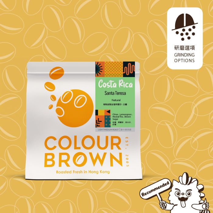 COLOUR BROWN哥斯达黎加日晒咖啡豆100g柑橘柠檬草草本茶红糖风味