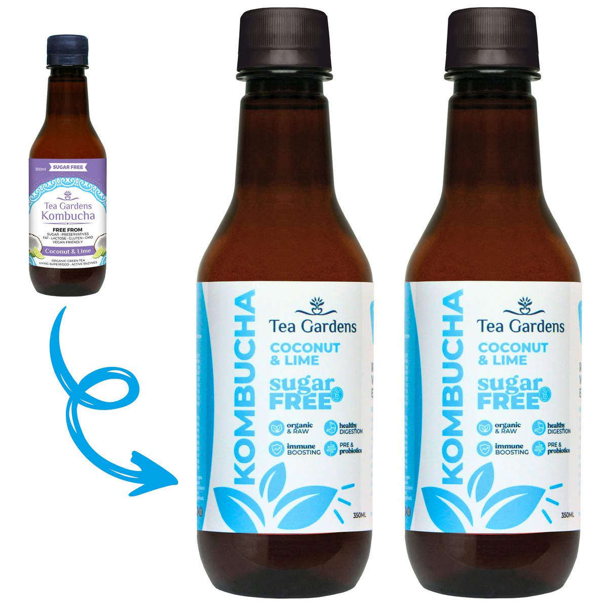 进口Tea Gardens有机康普茶椰子青柠味350毫升2支装无糖植物饮料