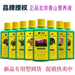 正品北京香山黄叶绿花卉营养液