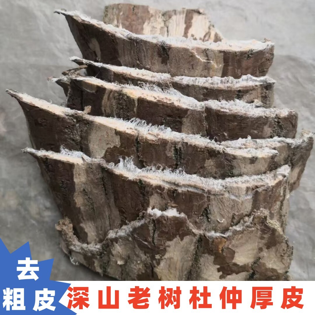 去粗皮老树杜仲厚皮无硫神农架老树厚皮粉干货泡酒茶中药杜仲野生