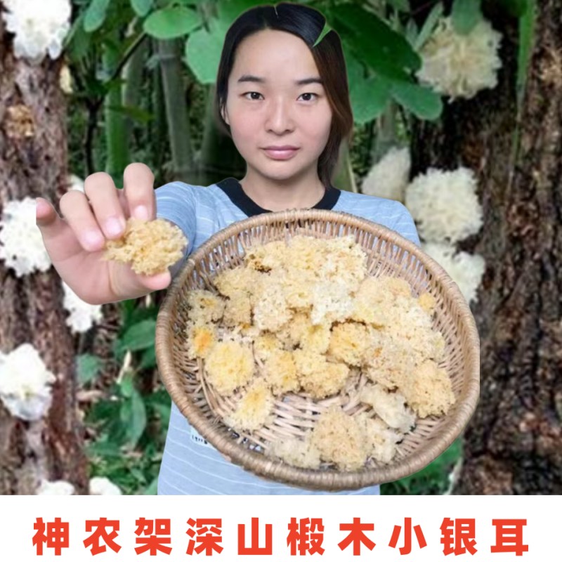 银耳干货特级野生椴木银耳神农架白木耳非古田雪耳白耳无硫糯银耳