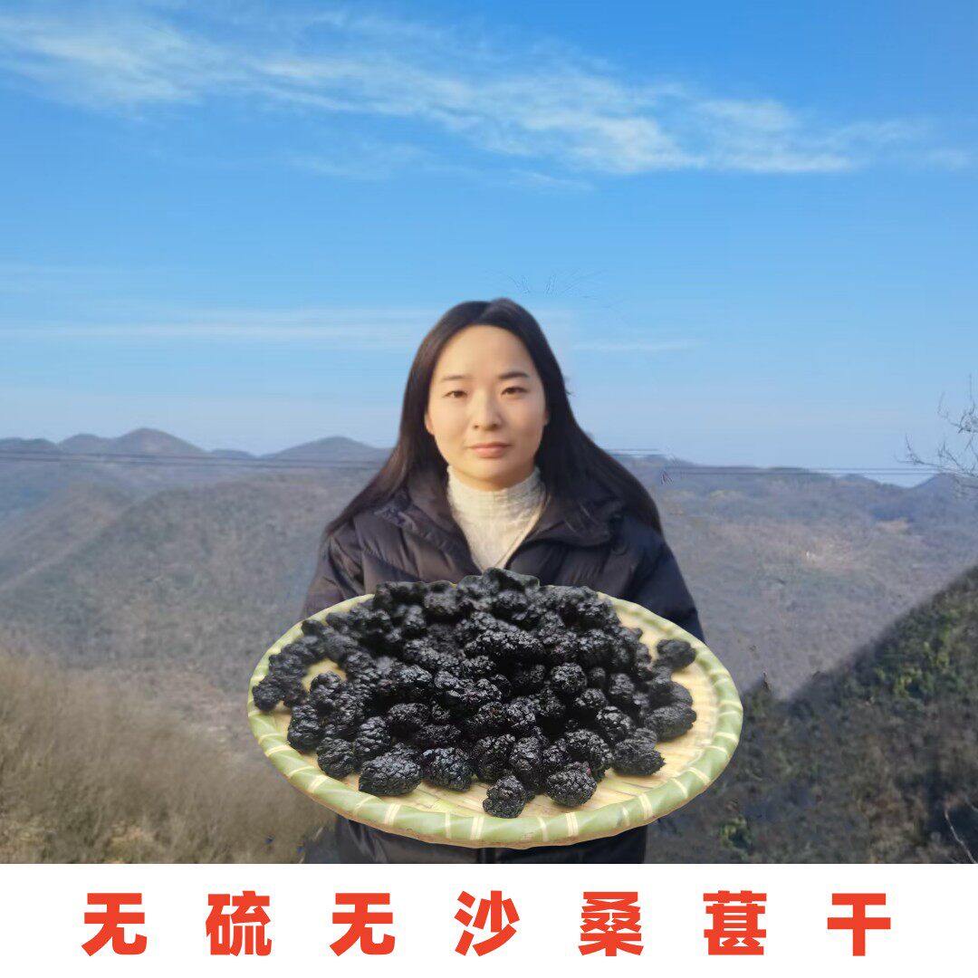黑桑葚干桑葚子非特级野生桑椹干果500g果干桑椹茶泡水男性桑葚茶
