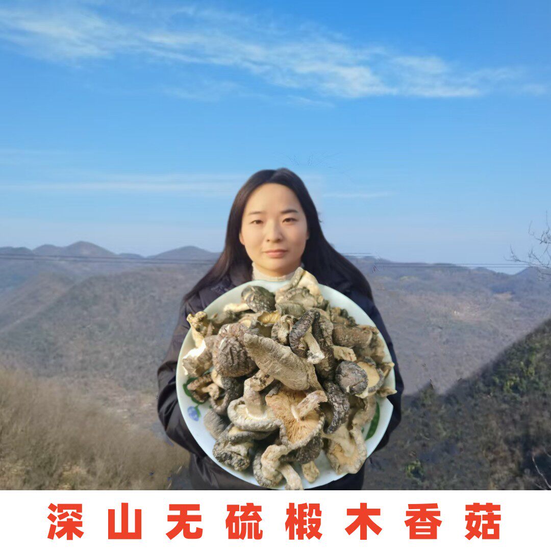 香菇干货特级神农架大香菇商用冬菇小香菇500g包邮野生椴木干香菇