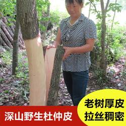 杜仲特级神农架老树厚皮粉干货泡酒中药杜仲泡茶 500克野生杜仲皮