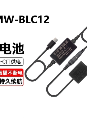 适用松下相机BLC12假电池FZ2500 G7G6 GX8 G85 G95外接电源适配器