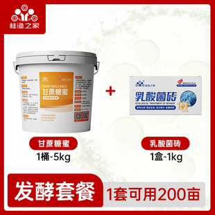 乳酸菌砖水产养殖专用鱼虾蟹降ph值净化水质调水发酵乳酸菌砖菌种