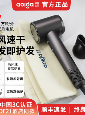 Aolga欧嘉优品DF21高速大力负离子恒温酒店家用速干护发电吹风机