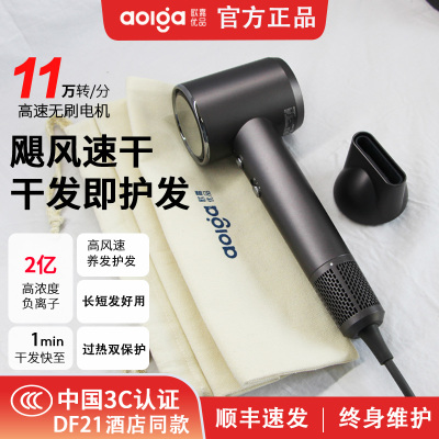 高端酒店同款DF21负离子电吹风