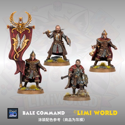 戴尔城 英雄指挥组 国王 领主 旗手 乐手 第三方战棋跑团树脂模型