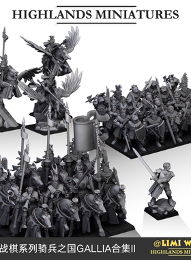 奇幻战棋骑士之国GALLIA合集二飞马骑士旧世界树脂桌游跑团模型锤