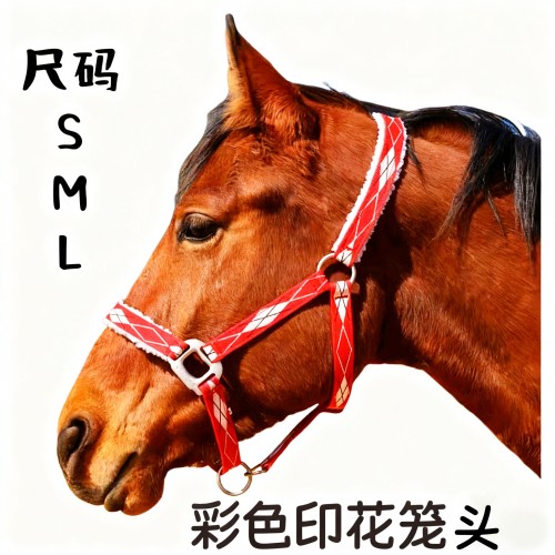 马术彩色印花笼头 大小马通用SML码耐用舒适马具骑马训练牵行装备