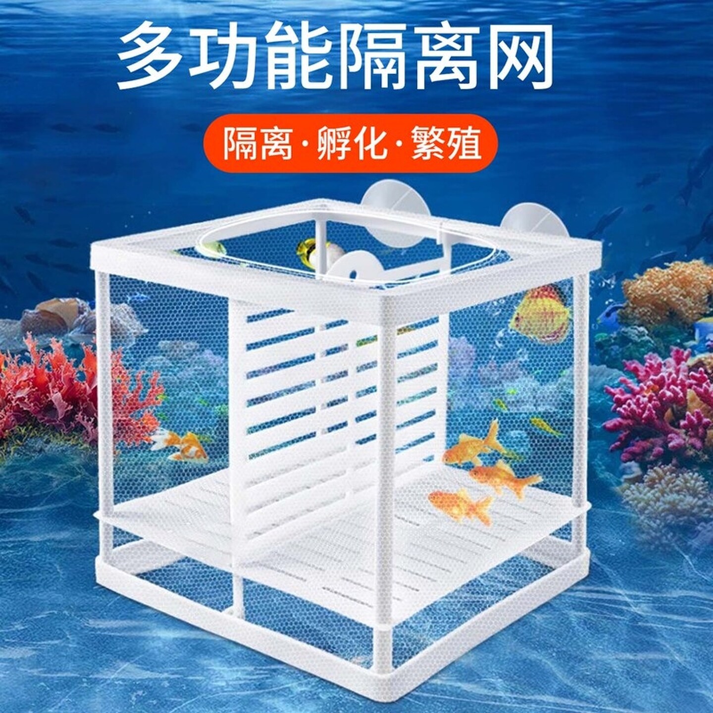 鱼缸水族箱产房斗鱼隔离网小鱼繁殖孵化盒分离盒迷你鹦鹉鱼孔雀鱼