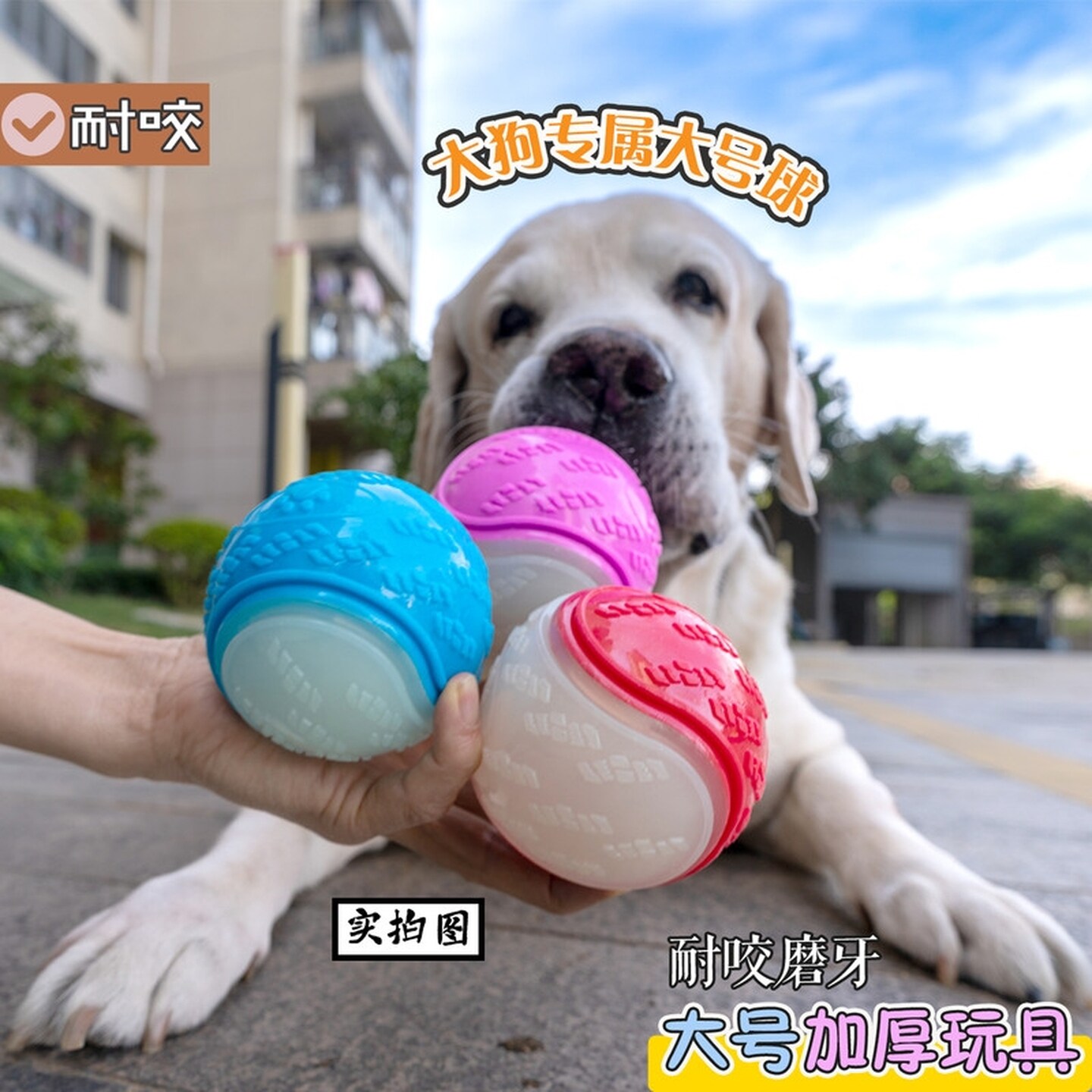 夜光宠物狗玩具加厚橡胶发声球弹力磨牙大中小狗幼犬解闷耐咬刺球