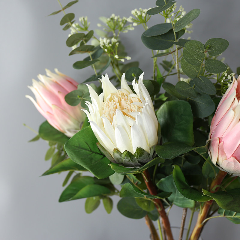 南非公主花帝王花样板房仿真假花 网红婚庆花束干花装饰摄影道具