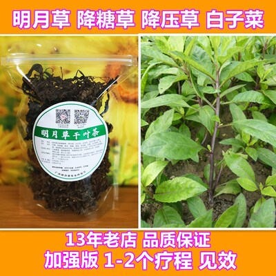 明月草降三高不输青钱柳生命草