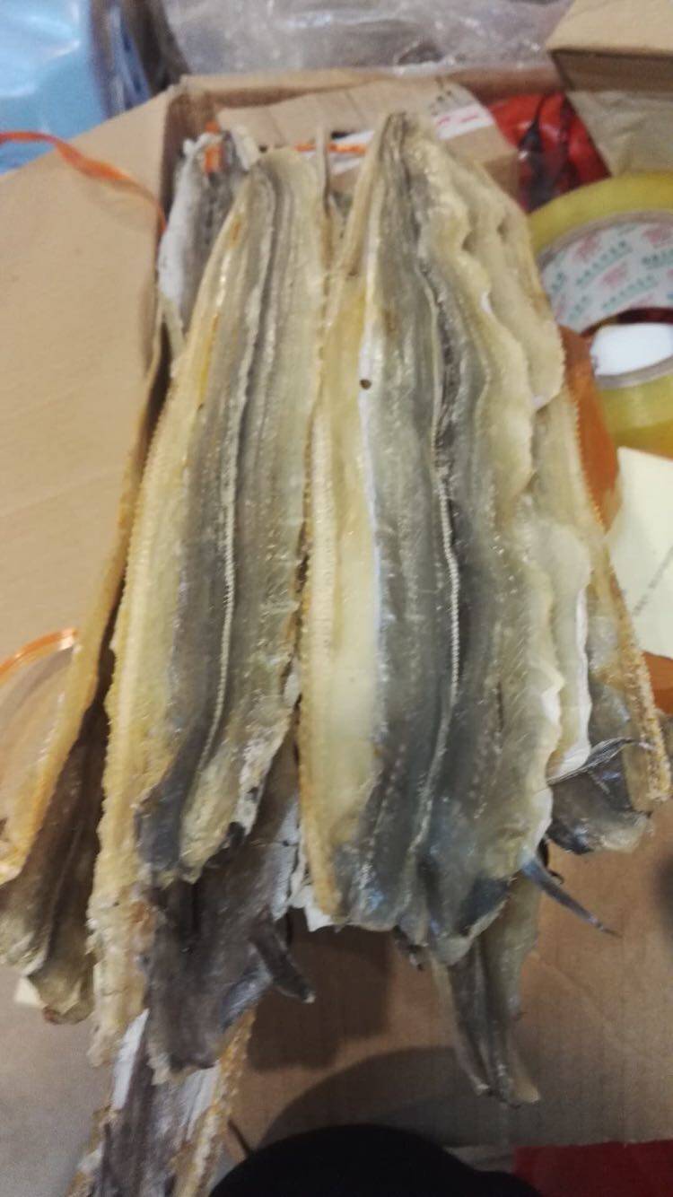 包邮 北海特色鱼干 香甜味小海鳗鱼干 小门鳝鱼 一斤约15条 500克