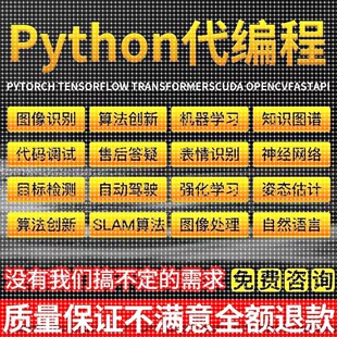 python代码编写深度学习医学图像识别语义分割机器学习强化学习