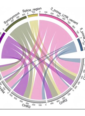 R语言绘制SCI科研图Rstudio绘图数据源代码roc源码生物pca源文件