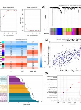 GEO数据库,TCGA数据库,生信分析,wgcna 分析,欢迎咨询