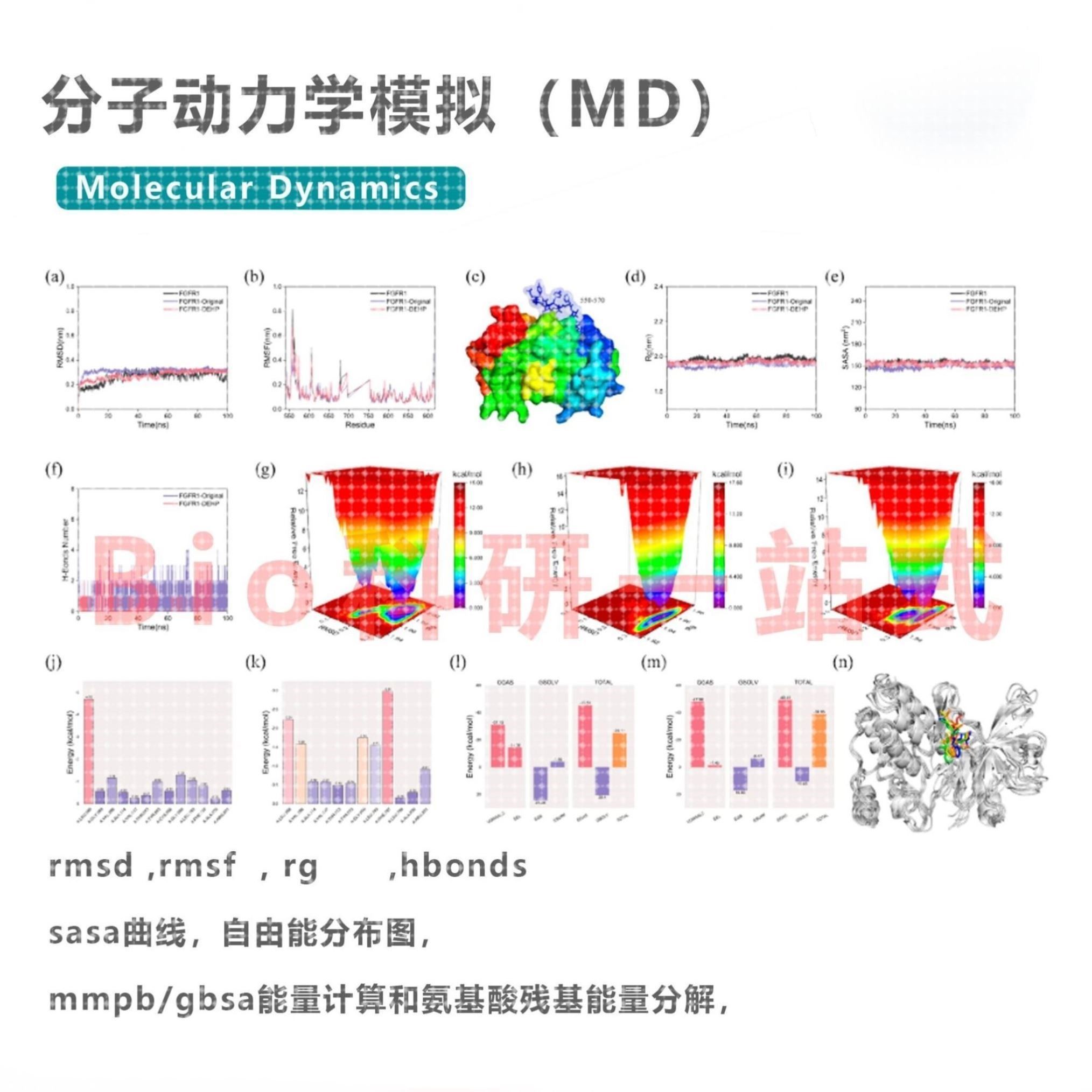 分子动力学模拟(MD)服务,精准解析分子结构与动力学行为