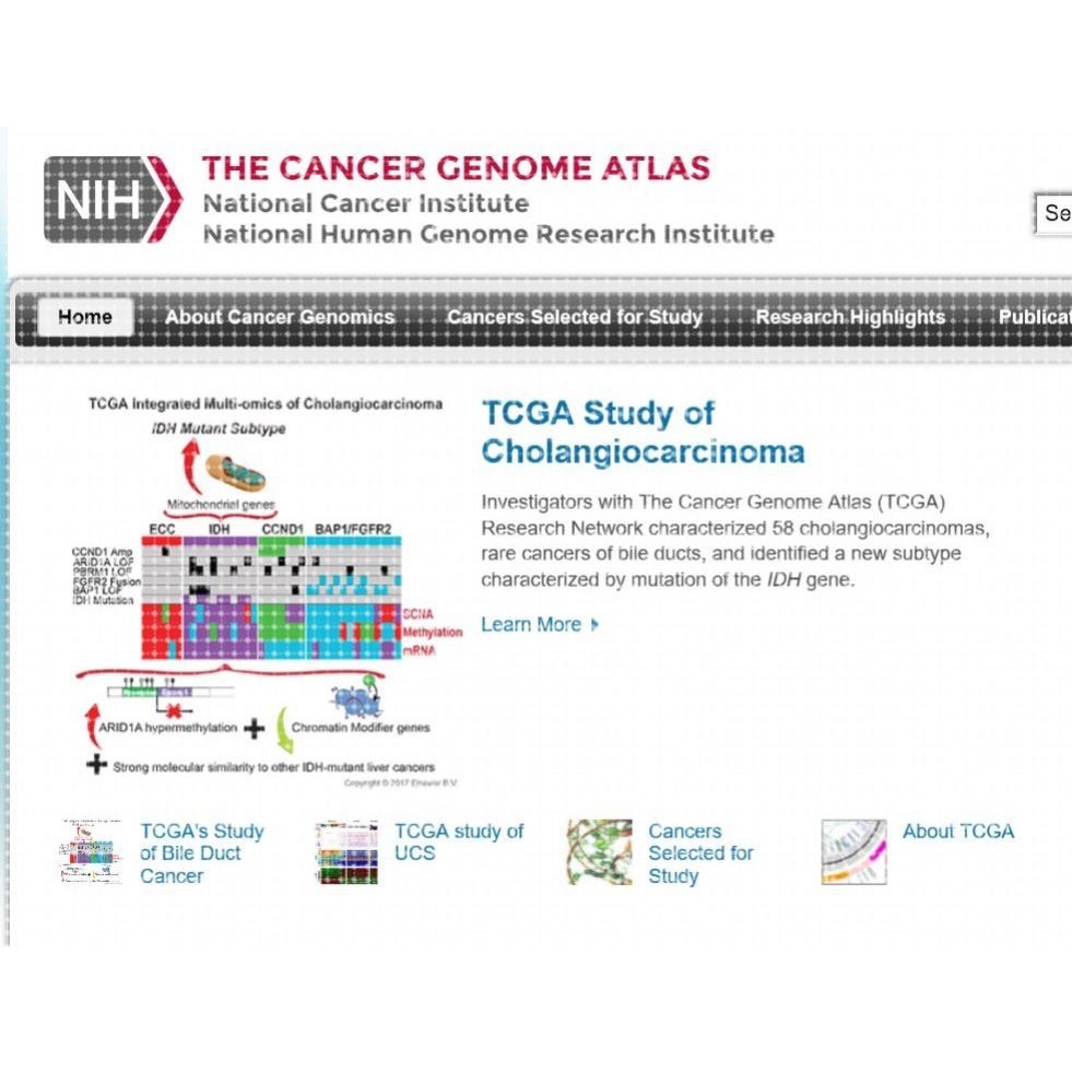 TCGA NCBI mRNA miRNA lncRNA 数据挖掘 差异分析 生存分析 教程