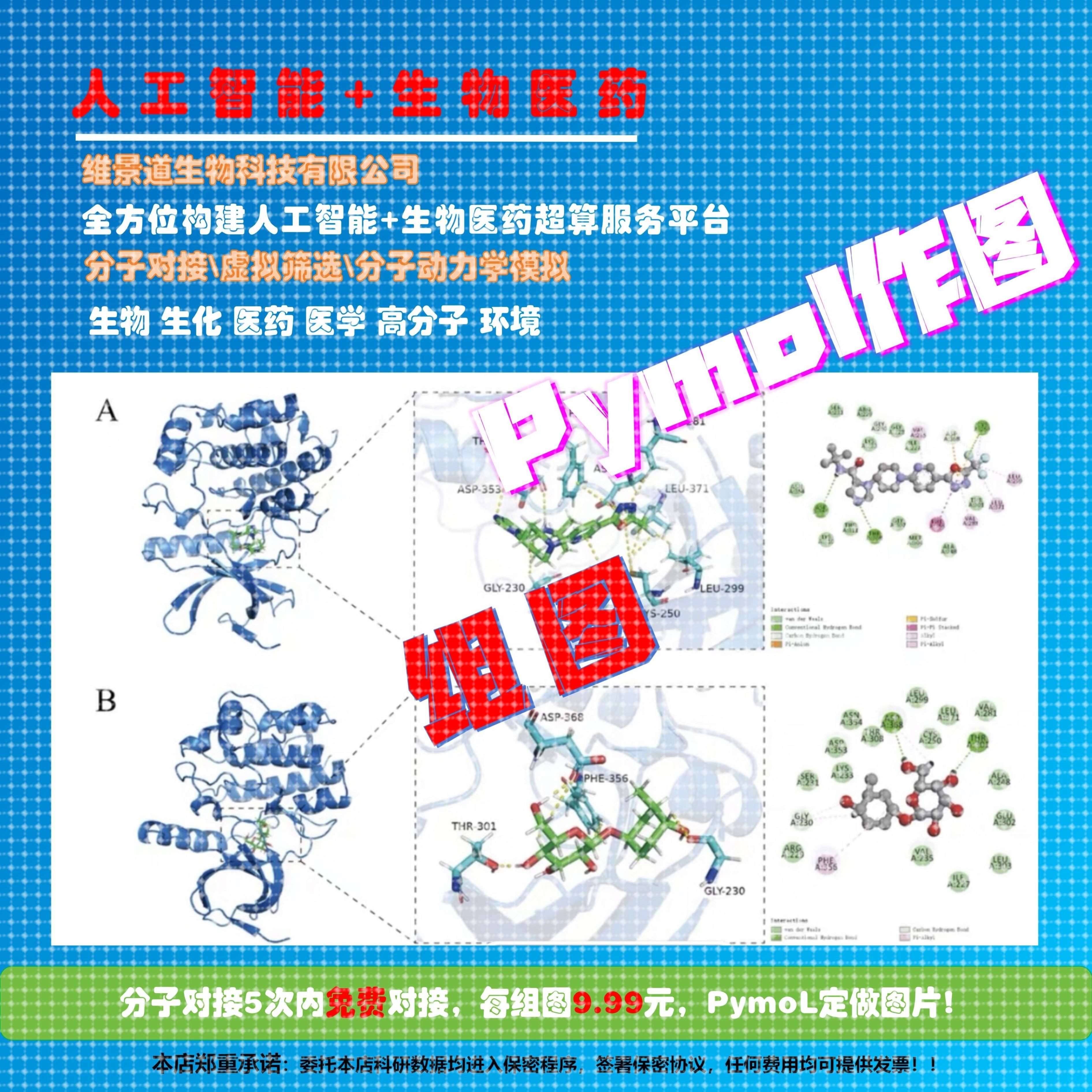 PymoL作图生物医学工程药物设计分子对接虚拟筛选计算化学模拟