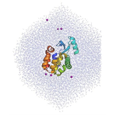 蛋白蛋白分子对接DS分析MD分子动力学分析PDB构建