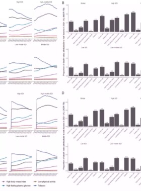 CLIP-seq RNA结构预测生信代做RNAfold支持二级结构分析
