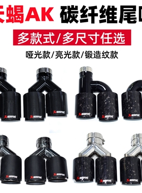 天蝎AK碳纤维尾喉汽车改装排气管双出四出一出二h型通用卡箍尾嘴