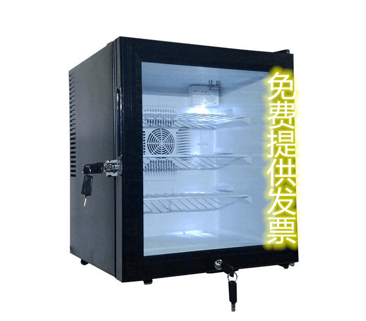 学校幼儿园食品留样柜酒店冷藏箱带温度显示单双锁药品阴凉展示柜