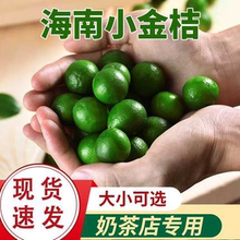 免邮 新鲜皮薄多汁小青柠海南小金桔青金桔柠檬 奶茶水果5斤批发