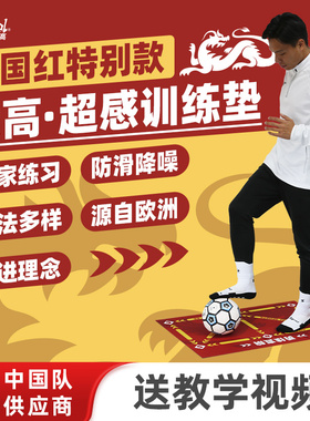 爱高室内足球训练垫送教学视频足球训练毯足球训练辅助器材防滑