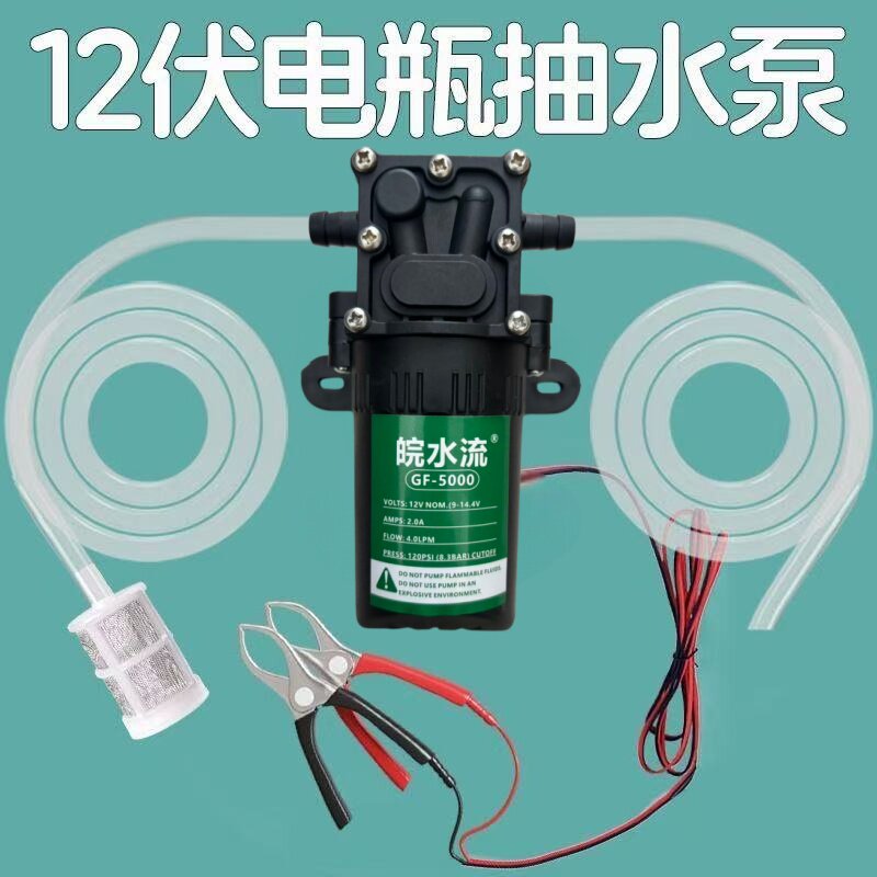 微型高压隔膜泵自吸水泵直流泵12V24v喷雾增压泵小型大流量抽水机图片