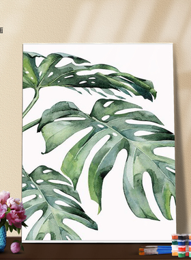 填色解压数字油画材料龟背竹植物