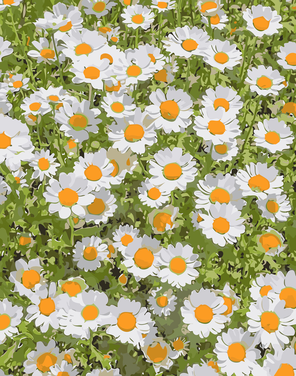 diy数字油画自己填色材料包春天来了气息山坡上盛开的野花装饰画