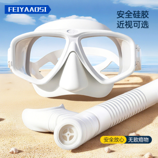 浮潜面罩专业面镜三件套近视装 水下呼吸护鼻一体潜水眼镜 备全干式