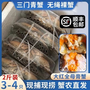 三门青蟹大红膏蟹鲜活海蟹母蟹红鲟大螃蟹特产海鲜水产礼盒2斤装