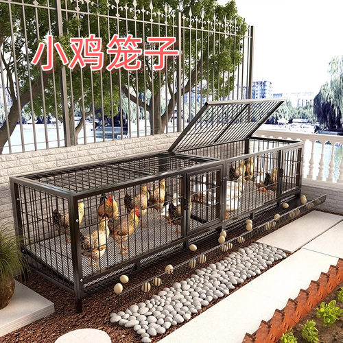 户外鸡笼芦丁鸡饲养箱捕子笼小鸡
