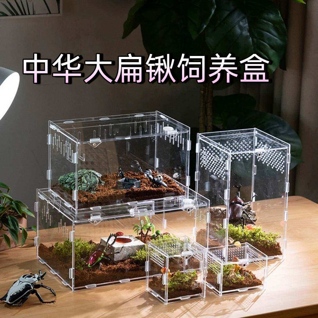 2290甲虫饲养盒透明亚克力爬虫图片