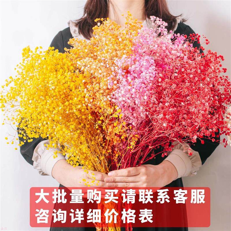 满天星干花花束吸色不掉花头永生满天星保鲜花 120g一束 出货