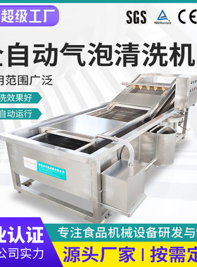 红叶生菜清洗机自动洗菜机自动化流线清洗 双向清洗自动清洗机