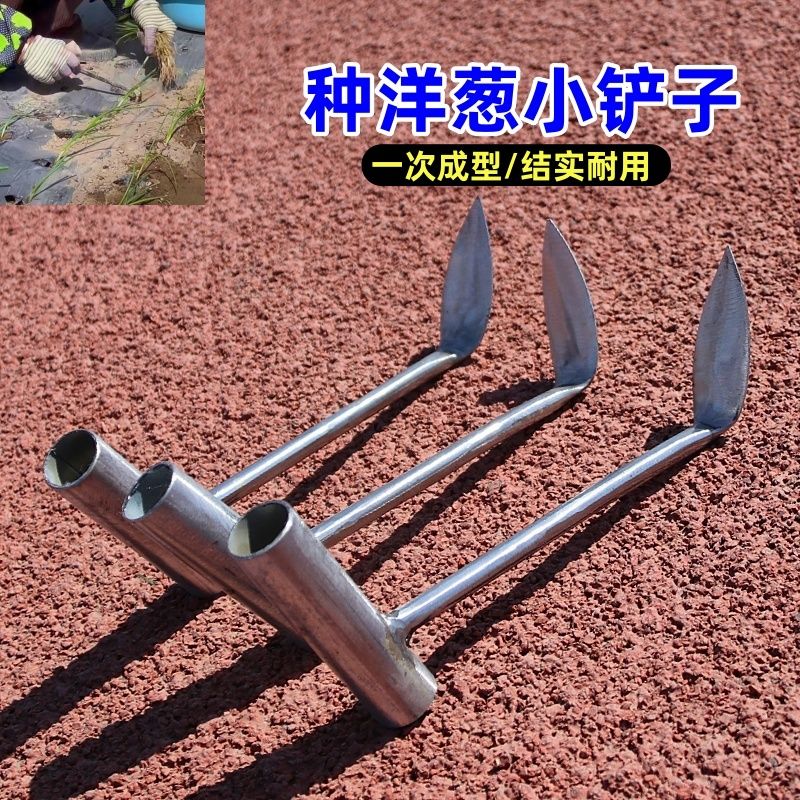 新款种洋葱小铲子栽洋葱苗铲子农用种圆葱栽圆葱工具一体成型铲子