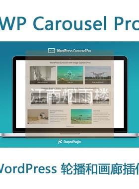 WP Carousel Pro 插件WP画廊轮播插件WordPress轮播插件
