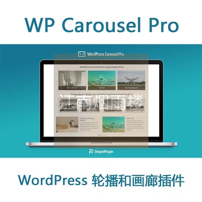 WP Carousel Pro 插件WP画廊轮播插件WordPress轮播插件