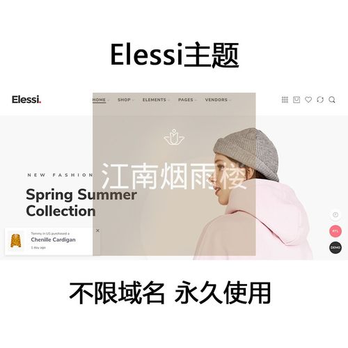 wordpress外贸跨境电商Elessi主题模版建站独立站搭建网站空间wp