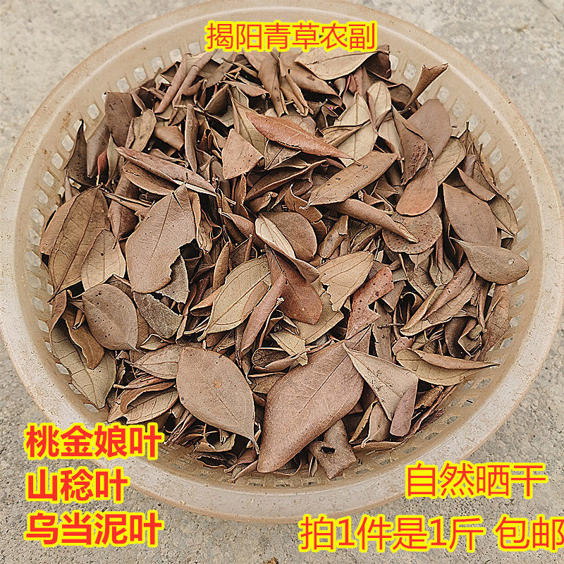 桃金娘叶 粉 山菍叶乌当泥山稔子叶 中草药岗菍哆尼止泄500g包邮