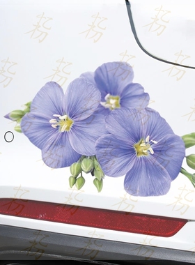 牵牛花车贴划痕遮挡刮痕疤痕贴画蓝色汽车贴纸前后保险杠大小面积